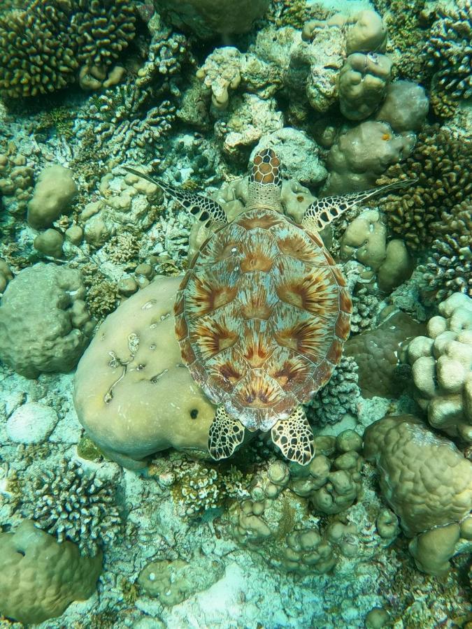 Готель White Coral Rasdhoo Екстер'єр фото